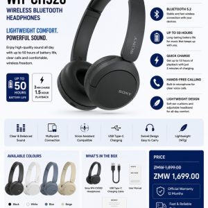 Sony WH-CH520 Wireless Bluetooth Headphones